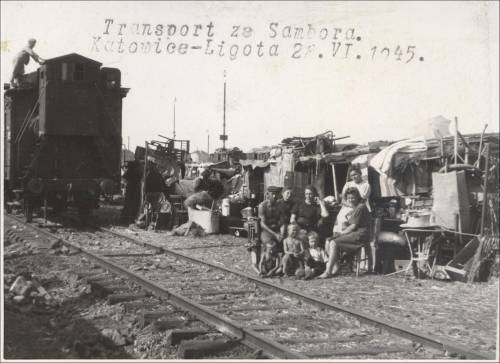 Zdj: 2333
Dodane: 2017.05.30