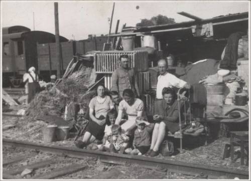 Zdj: 2334
Dodane: 2017.05.30