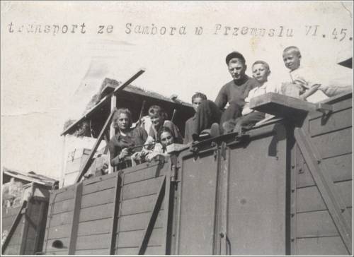 Zdj: 2335
Dodane: 2017.05.30