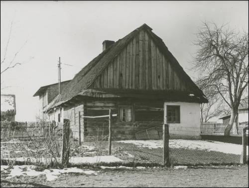 Zdj: 2349
Dodane: 2017.07.21