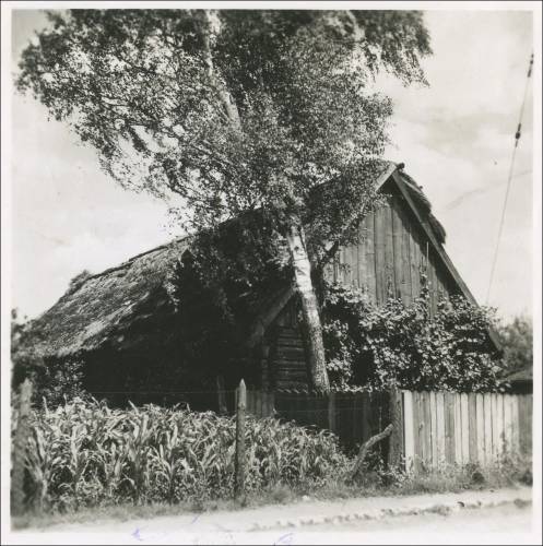 Zdj: 2356
Dodane: 2017.10.6