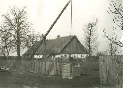        Zdj: 2363 
Dodane: 2017.10.12