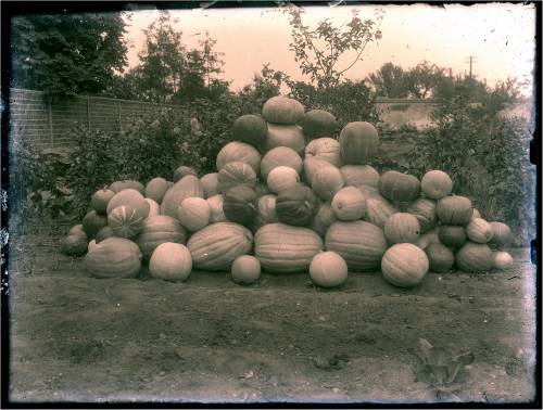 Zdj: 2368
Dodane: 2017.10.31