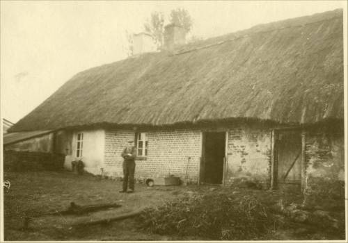        Zdj: 2372 
Dodane: 2017.12.13