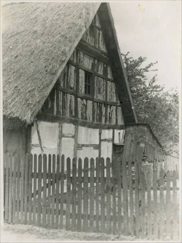        Zdj: 2374 
Dodane: 2017.12.13