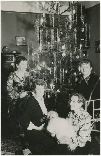 Zdj: 2376
Dodane: 2017.12.20