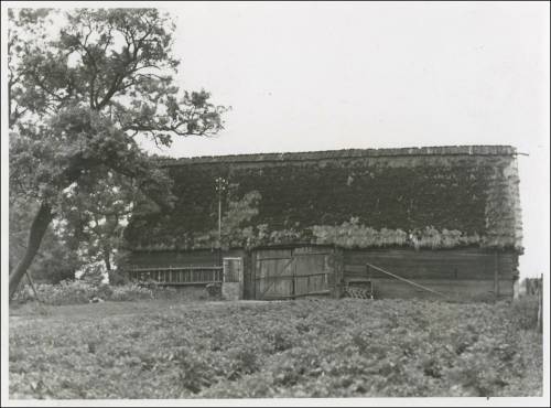        Zdj: 2386 
Dodane: 2018.04.10