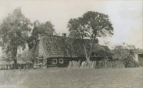        Zdj: 2389 
Dodane: 2018.04.18