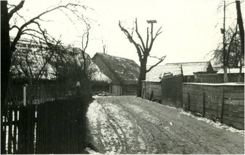 Zdj: 2391
Dodane: 2019.02.14