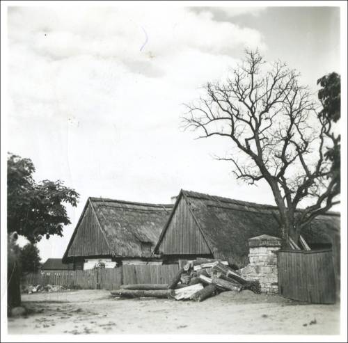 Zdj: 2392
Dodane: 2019.02.14