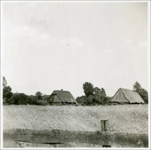        Zdj: 2393 
Dodane: 2019.02.14