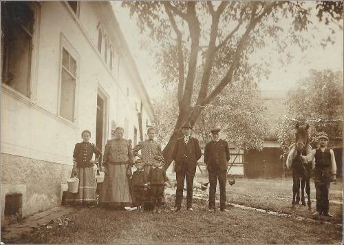 Zdj: 2394
Dodane: 2019.03.29