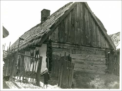        Zdj: 2396 
Dodane: 2019.04.16