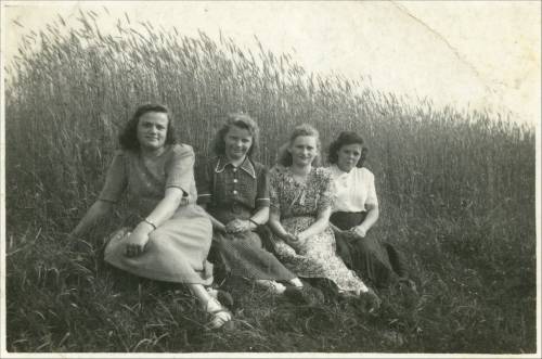 Zdj: 2400
Dodane: 2019.06.25