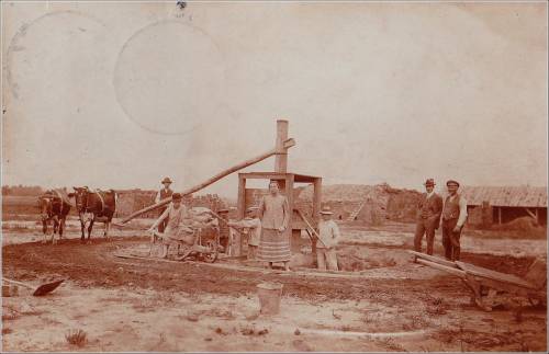 Zdj: 2403
Dodane: 2020.03.25