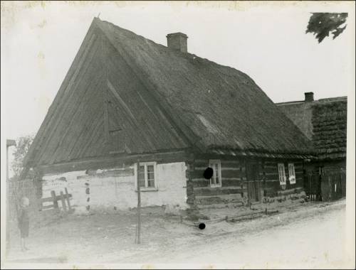        Zdj: 2406 
Dodane: 2020.03.26