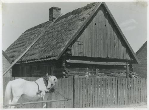 Zdj: 2408
Dodane: 2020.03.26