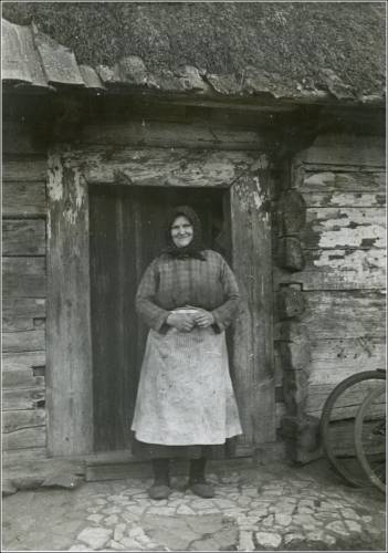        Zdj: 2409 
Dodane: 2020.03.27