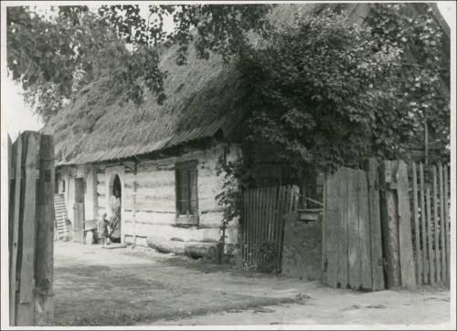        Zdj: 2410 
Dodane: 2020.03.27