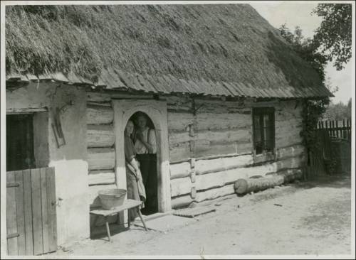        Zdj: 2411 
Dodane: 2020.03.27