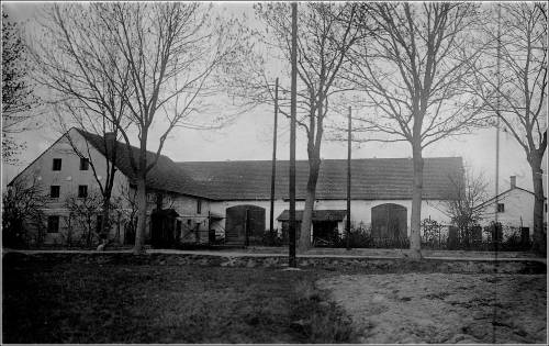 Zdj: 2417
Dodane: 2020.03.29