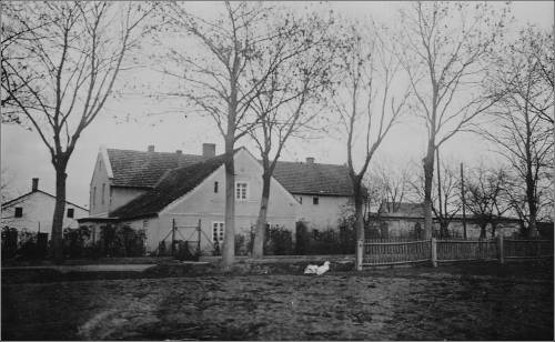 Zdj: 2419
Dodane: 2020.03.29