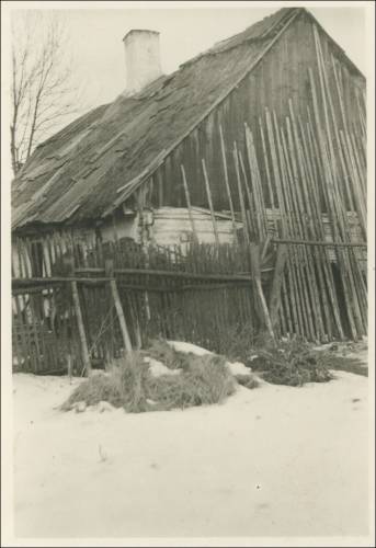        Zdj: 2428 
Dodane: 2020.04.2