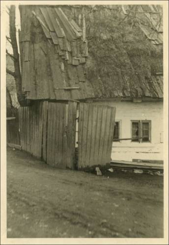        Zdj: 2429 
Dodane: 2020.04.2