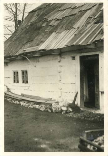        Zdj: 2431 
Dodane: 2020.04.2