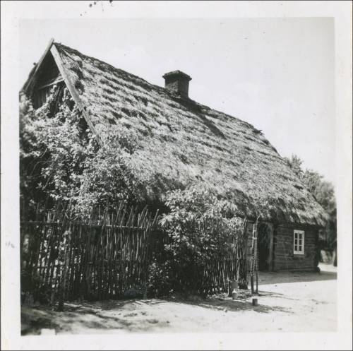 Zdj: 2439
Dodane: 2020.04.3