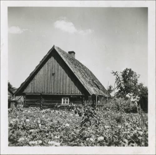 Zdj: 2440
Dodane: 2020.04.3