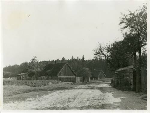        Zdj: 2442 
Dodane: 2020.04.3