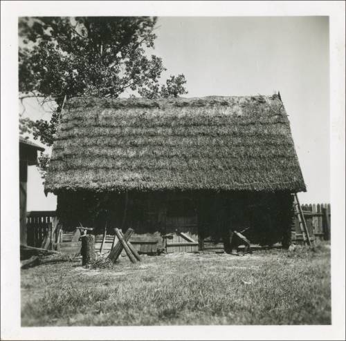 Zdj: 2443
Dodane: 2020.04.3