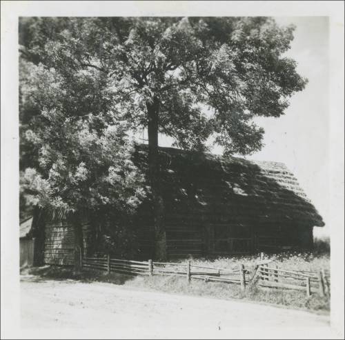        Zdj: 2446 
Dodane: 2020.04.3