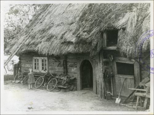 Zdj: 2448
Dodane: 2020.04.10