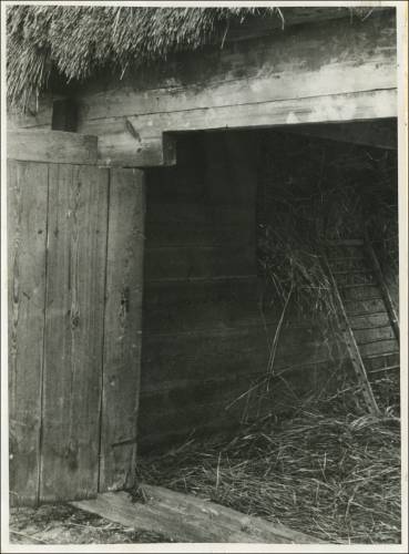 Zdj: 2449
Dodane: 2020.04.10