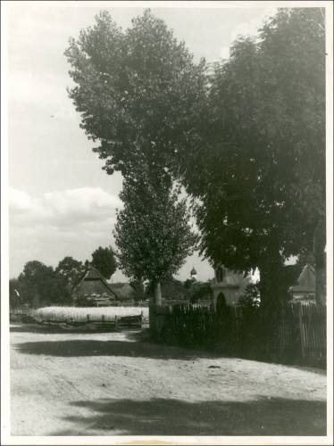        Zdj: 2452 
Dodane: 2020.04.10