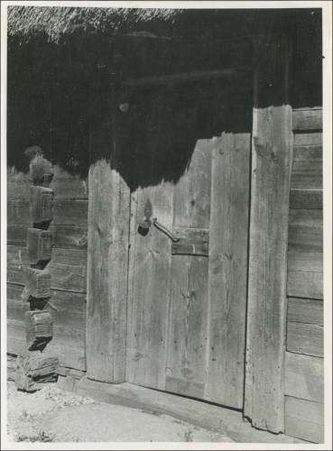        Zdj: 2453 
Dodane: 2020.04.10