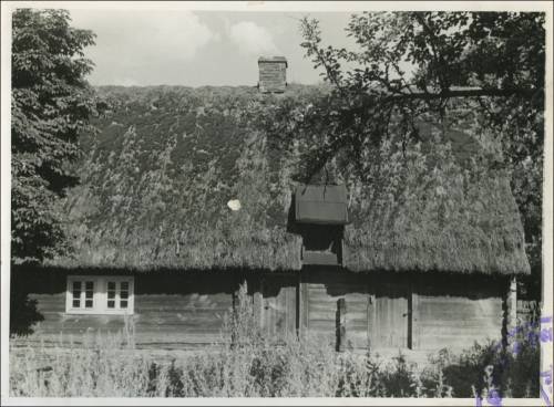        Zdj: 2456 
Dodane: 2020.04.10