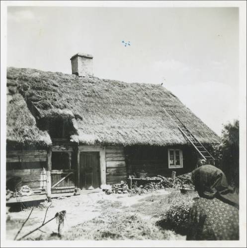 Zdj: 2458
Dodane: 2020.04.10