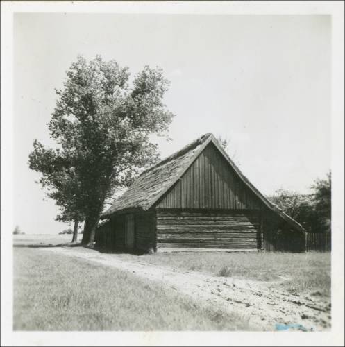 Zdj: 2459
Dodane: 2020.04.10