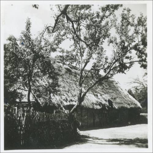 Zdj: 2460
Dodane: 2020.04.10