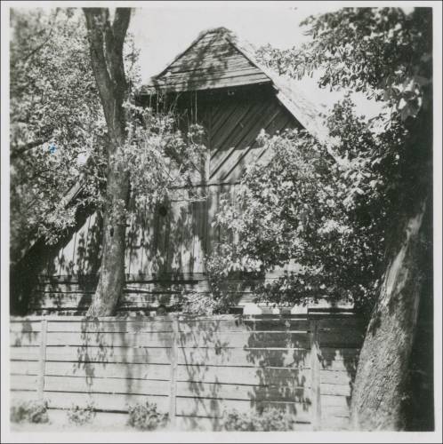 Zdj: 2462
Dodane: 2020.04.10