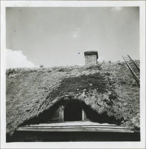 Zdj: 2467
Dodane: 2020.04.10