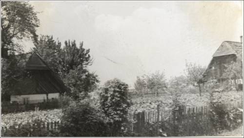        Zdj: 2469 
Dodane: 2020.04.12