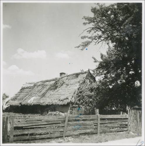 Zdj: 2472
Dodane: 2020.04.12