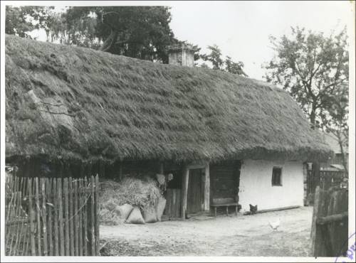        Zdj: 2473 
Dodane: 2020.04.12