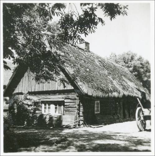 Zdj: 2475
Dodane: 2020.04.12