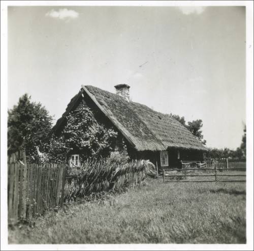 Zdj: 2476
Dodane: 2020.04.12