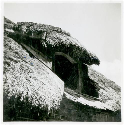 Zdj: 2477
Dodane: 2020.04.19